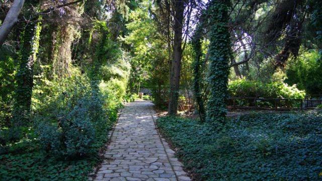 شقة Greek Hospitality 2 أثينا المظهر الخارجي الصورة